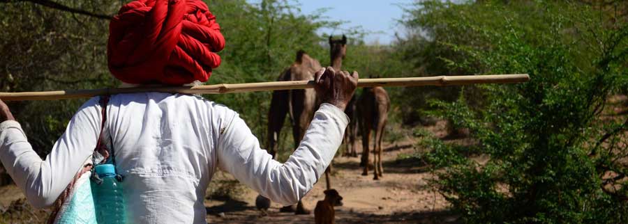 Tour dell'India