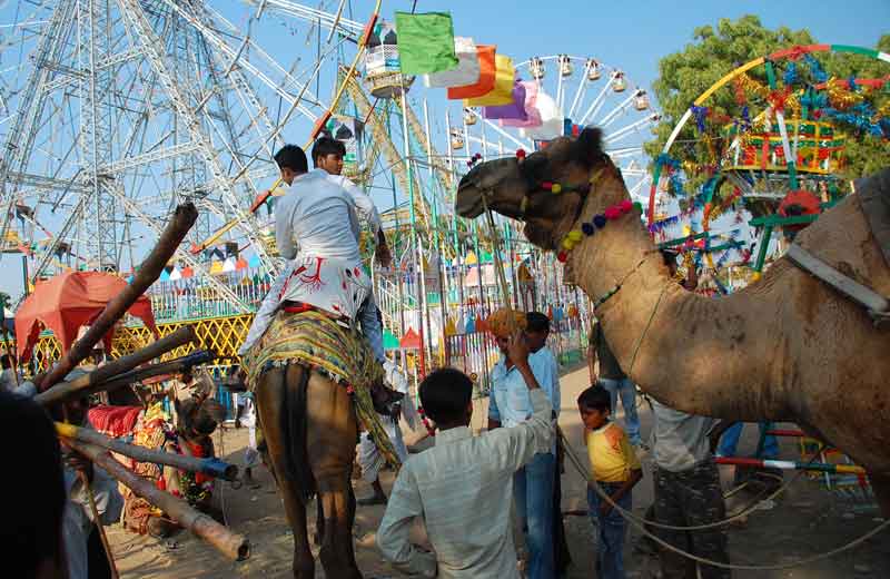 Viaggio India fiera di Pushkar