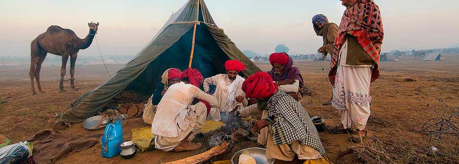 Tour del Rajasthan, Pushkar e Ranthambore