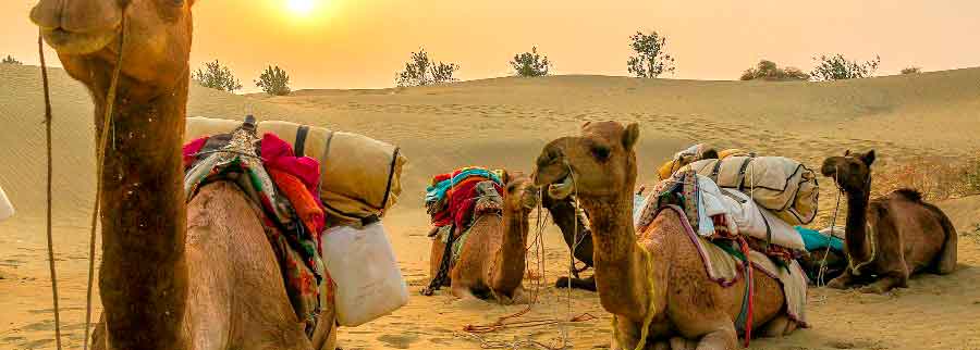 Rajasthan Programma