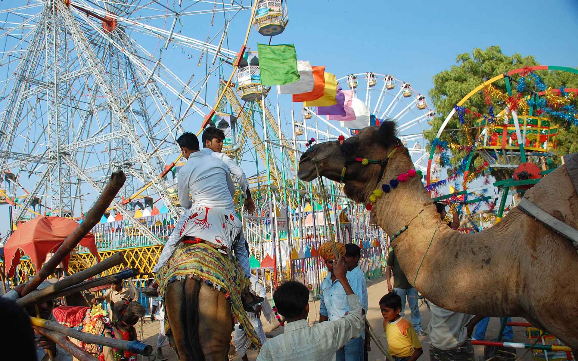 pushkar fair
